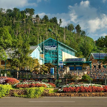 Villa Romance In The Smokies By Distinctive Getaways Gatlinburg Exterior foto