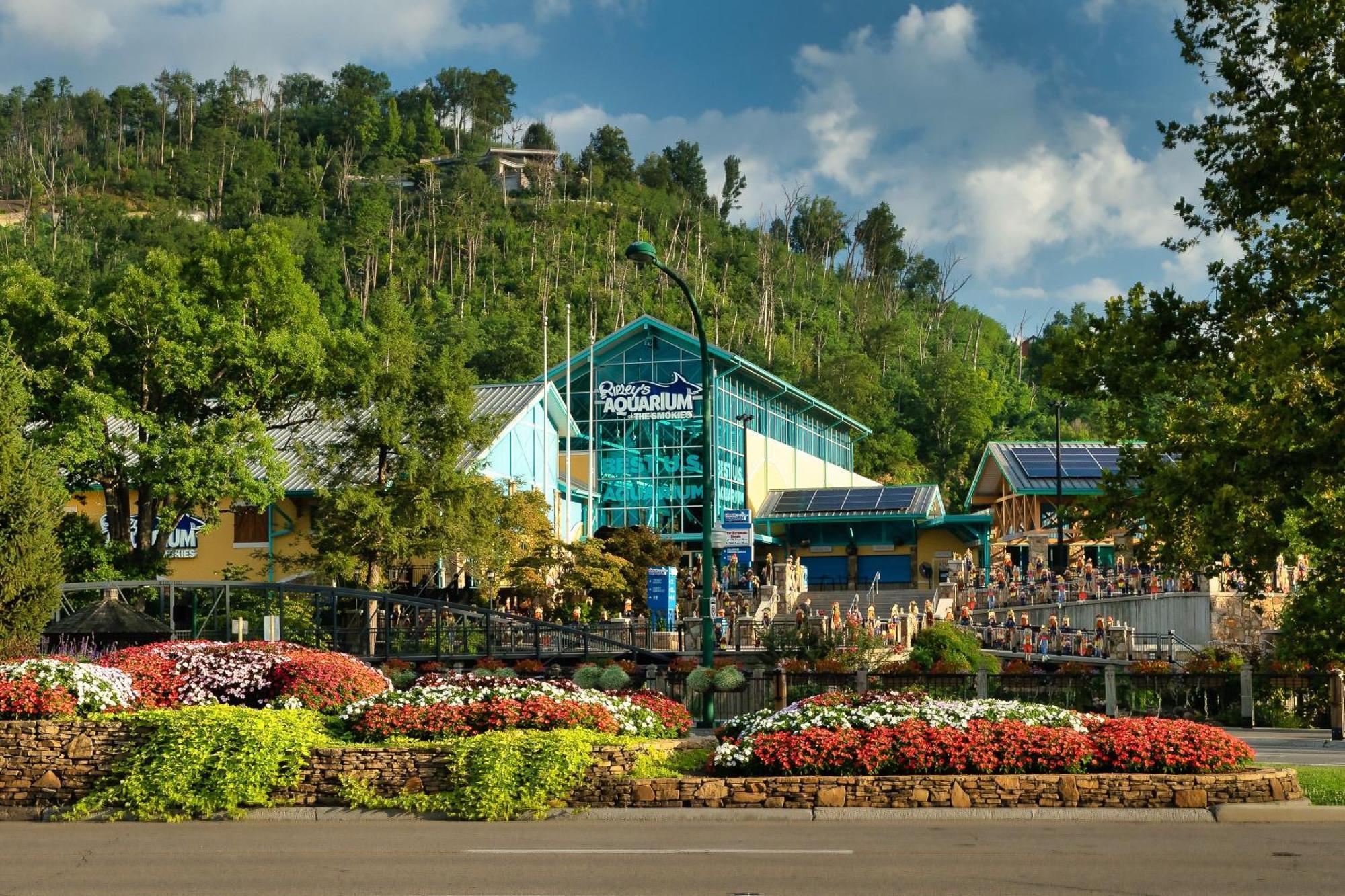 Walk To Anakeesta Romantic 1Br W Fireplace Gatlinburg Exterior foto